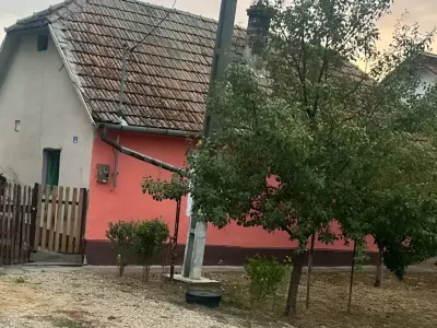 copac in curte casa vanzare cumparare Dudeștii Noi Timiș